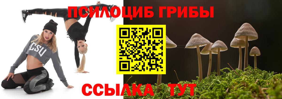 Галлюциногенные грибы прущие грибы Астрахань